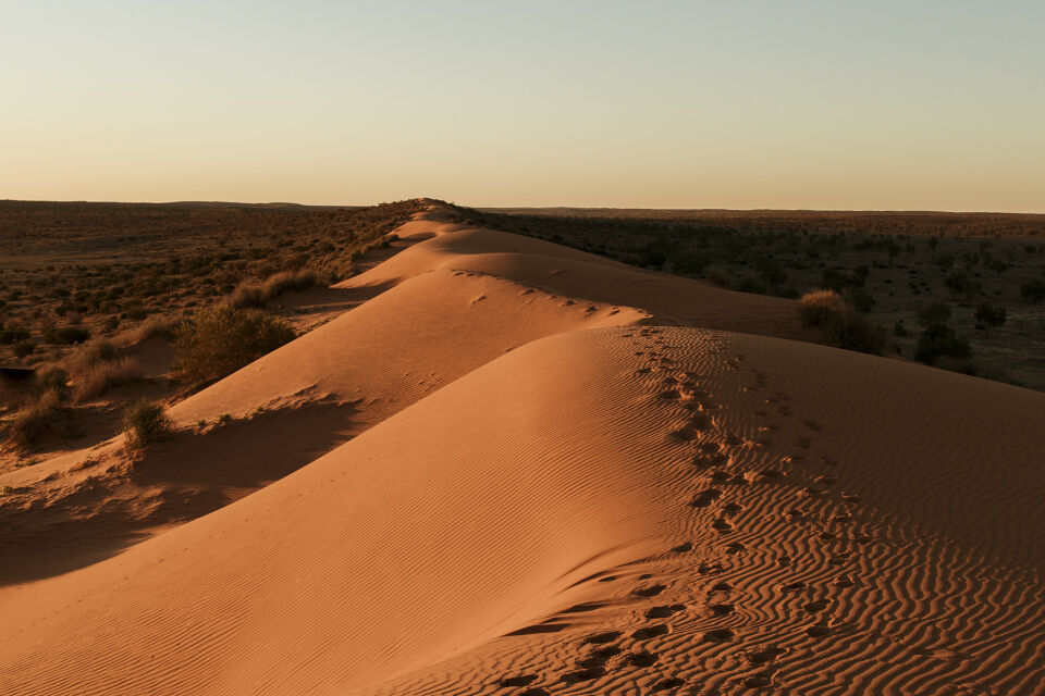 Simpson Desert